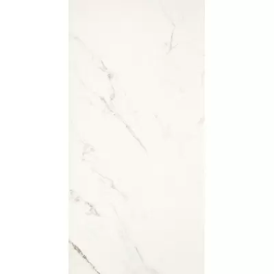 Casalgrande Padana Marmoker 2461117 Statuario Grigio R10 59x118