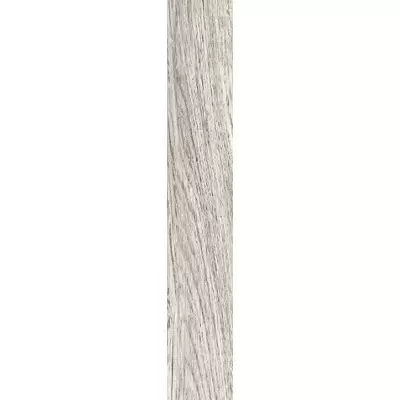 Gres de Aragon Ordesa 905159 Base Gris Lisco 19.5x120