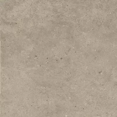 Impronta italgraniti Silver Grain SI0468 Taupe 60x60