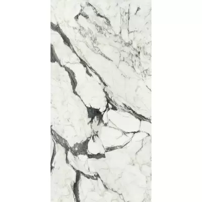 Rex Ceramiche Les Bijoux de Rex 765721 Calac Altissimo Glo 6mm Ret 120x240