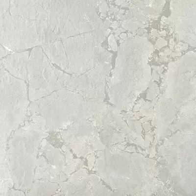 Apavisa Natura 8431940349867 White Natural 59.55x59.55