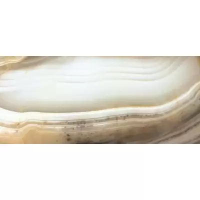 Rex Ceramiche Alabastri Di Rex 744343 Bamboo 6mm. Glossy 160x320