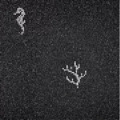 Bisazza The Crystal Collection 06001448VL Corals And Seahorses Black 0.97x0.97