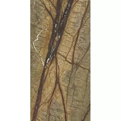 Casalgrande Padana Marmoker 12460301 Brown Forest Honed 60x120
