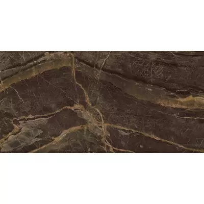 Colorker Olympea 221541 Brown Pulido 60x120