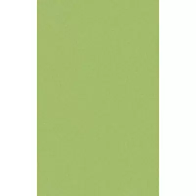Casalgrande Padana Architecture 3040012 Acid Green 45x90