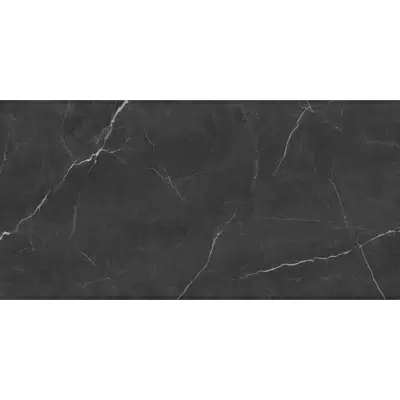 Absolut Gres Roma AB 3124G Black Full Lappato 60x120