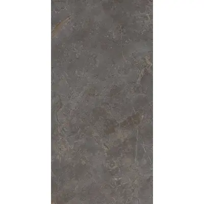 Fap Ceramiche Roma Stone fQXC Pietra Grey Matt R9 60x120