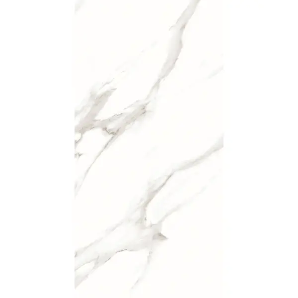 QS Rio Grey Полированный 60x120