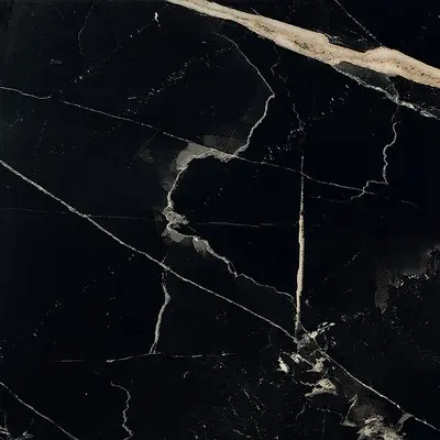 Ceramica Fioranese Sound of Marbles M4607R Nero Fondo Matt 60x60