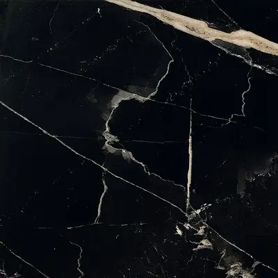 Ceramica Fioranese Sound of Marbles M4757R Nero Fondo Matt 74x74