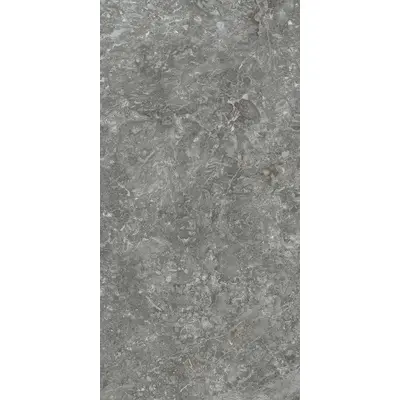 Kerama Marazzi Риальто Нобиле SG593302R Серый тёмный лаппатированный обрезной 119,5x238,5