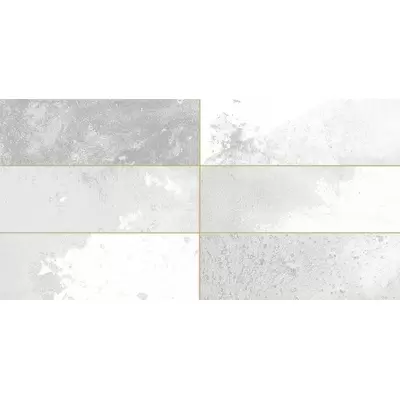 Peronda FS Tradition 30897 Brick Silver 20x40