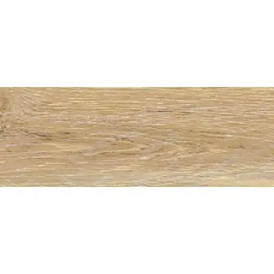 Kerlite Forest Rovere 300x100