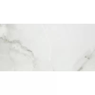 Pamesa Marbles Fenix Gris 60x120