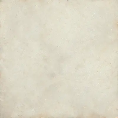 Ceramica Fioranese Riggiole RIG901R Bianco 90x90