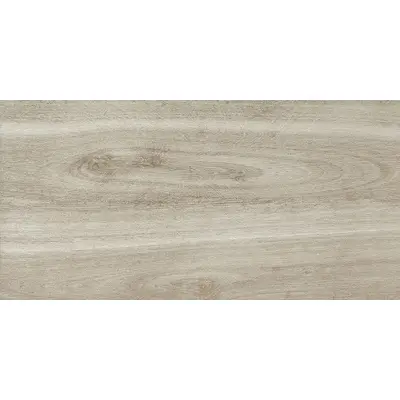 Zodiac Ceramica Rubber W1206036 Matte серый 60x120