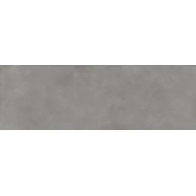 Stone The Room Color 30 Cement 100x300