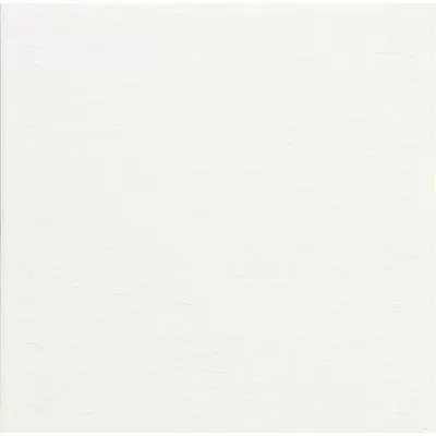 Adex Modernista Liso PB C/C Blanco 15x15