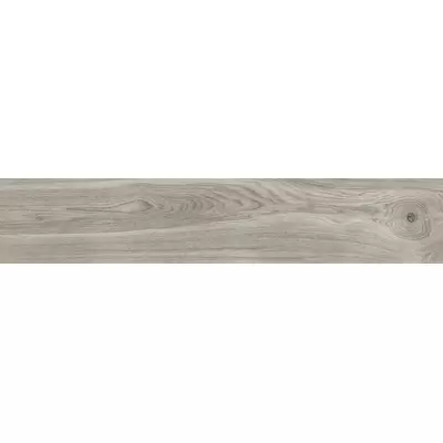 Emotion Ceramics Hardy Gris 23.3x120