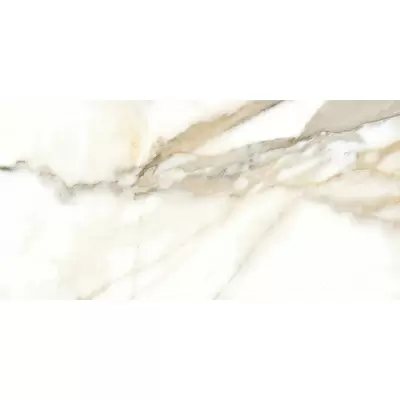 Fanal Calacatta B NPlus 60x120