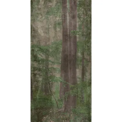 ABK Wide & Style 0007330 Woods C 160x320
