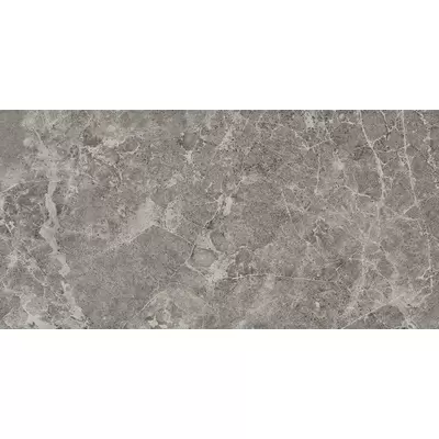 Panaria Trilogy PZ9TYS3 Sandy Grey Soft 50x100