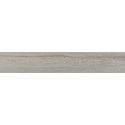 Ceramica Fioranese Essential ES203R Fume 20,13x120,8