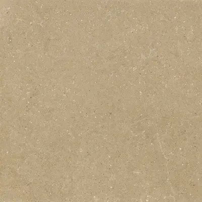 Del Conca Wild G9WD01R HWD 1 Beige 8.5mm Ret 60x60