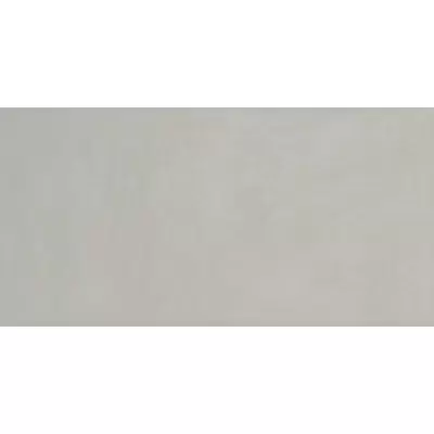 Panaria Experience PG9EX25 Grigio Vivo 50x100