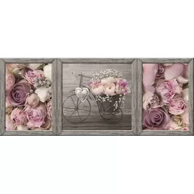 Mosplitka Anabel Декор Пион 2 50x20