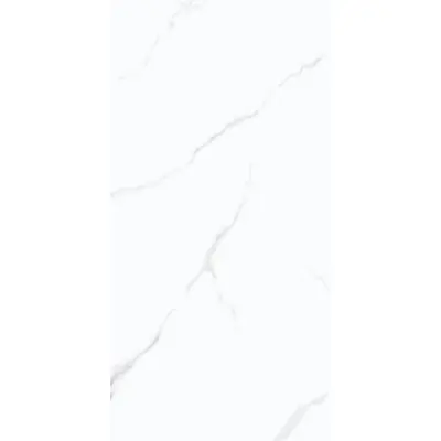 Wifi ceramics Marble Carara Glos 60x120
