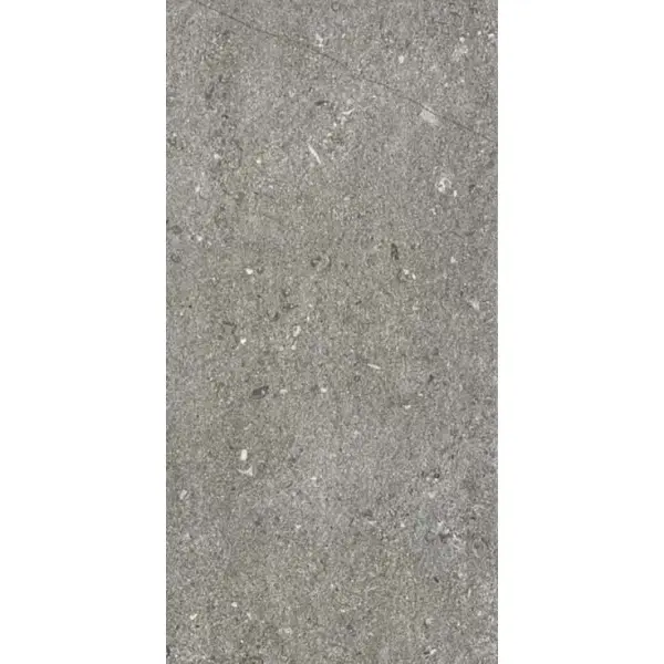 Ariostea Astra Full Body P36655 Fog Natural Plus 30x60