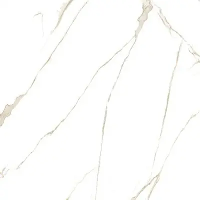 Saime ceramiche Cave 8600109/A Forte Mat Ret 60x60
