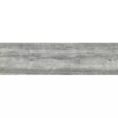 Emotion Ceramics Wild Gris Porc. 24x88