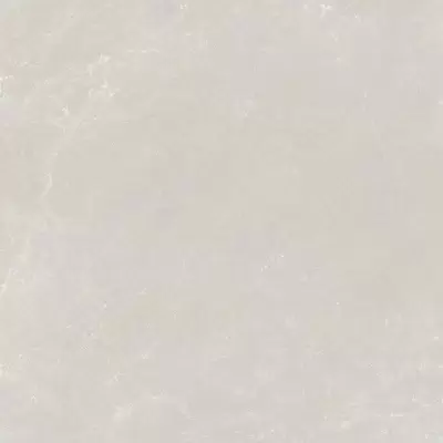 Monocibec Ceramiche Evolution 113546 Planet Naturale Rettificato 120x120