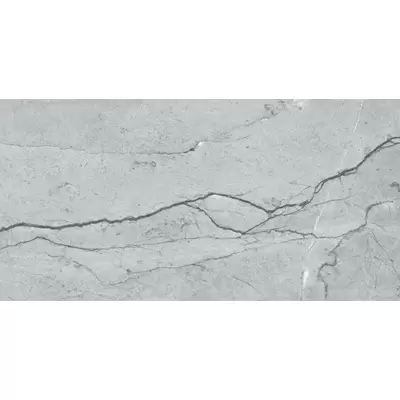 AGL Tiles Tawny Grey carving 60x120