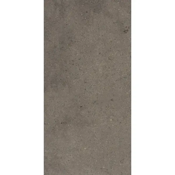 Ariostea Elementae P612713 Labi Nat Plus R10 60x120