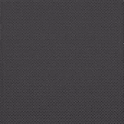 Rako Color One GRS1K248 Черная 20x20