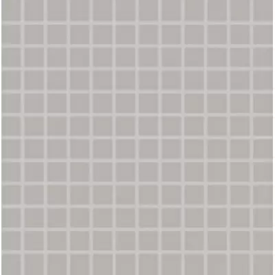 Rako Color One GDM02110 Серая 30x30