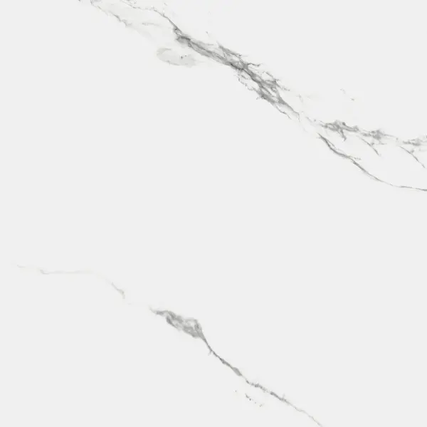 Primavera Royce R_NR1002 Carrara Marmo Matt 60x60