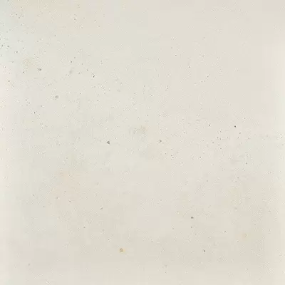 Ceramica Fioranese I Cocchi Calce 60 Nat 60x60