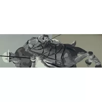 Settecento The Club 24168 Country Polo A Decoro 31,9x96,3