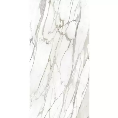 Emil ceramica Tele Di Marmo Reloaded E0ER Calacatta Gold Canova Naturale 60x120