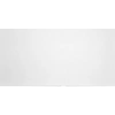 Grasaro Domino G-100/MR/300x600x10 White 30x60