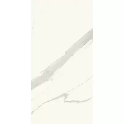Ricchetti Marble Boutique 0541551 Statuario W Lux 59.4x119