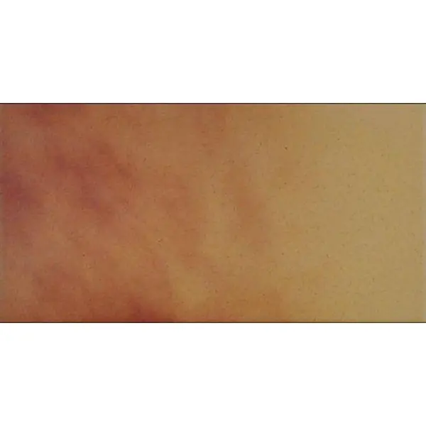 Cerrad Jesienny Lisc/Autumn Leaf 5903263446606 Floor 14,8x30