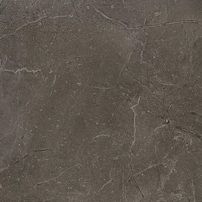 Vives World Flysch SPR Semipulido Grafito-4 59.3x59.3