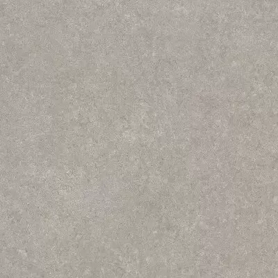 Cerim Ceramiche Elemental Stone 767231 ST Grey Sand Nat 10mm Ret 120x120