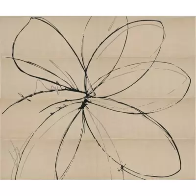 Viva Ceramica Dolceamaro 653E3RF Fiore Natural Sugar 4 pc. 25x60